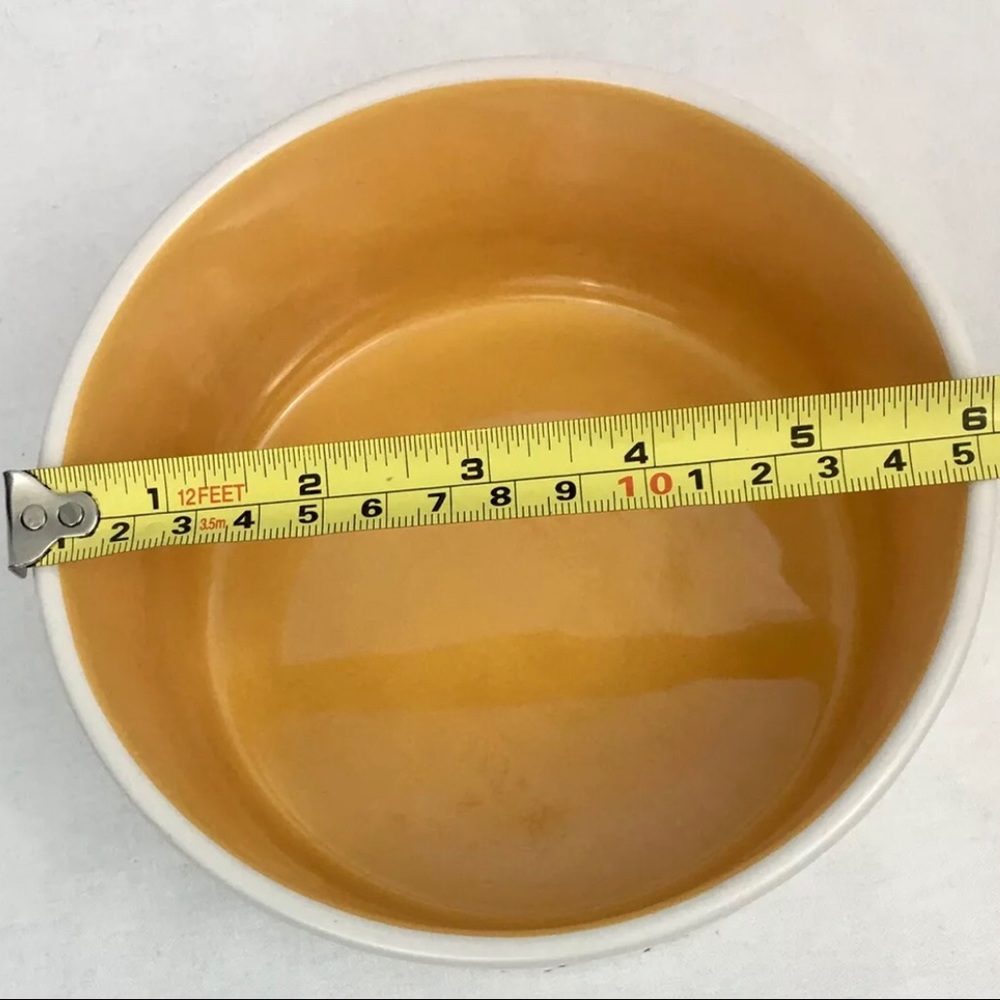 Rae Dunn Large Dog Dish Chow Down Pet Bowl Orange Interior 6” New RARE COLOR - Picture 11 of 14